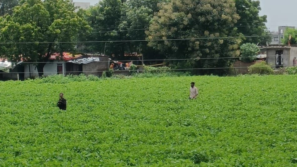 Firing on Tehsildar and Patwari ran away to save their lives during measurement