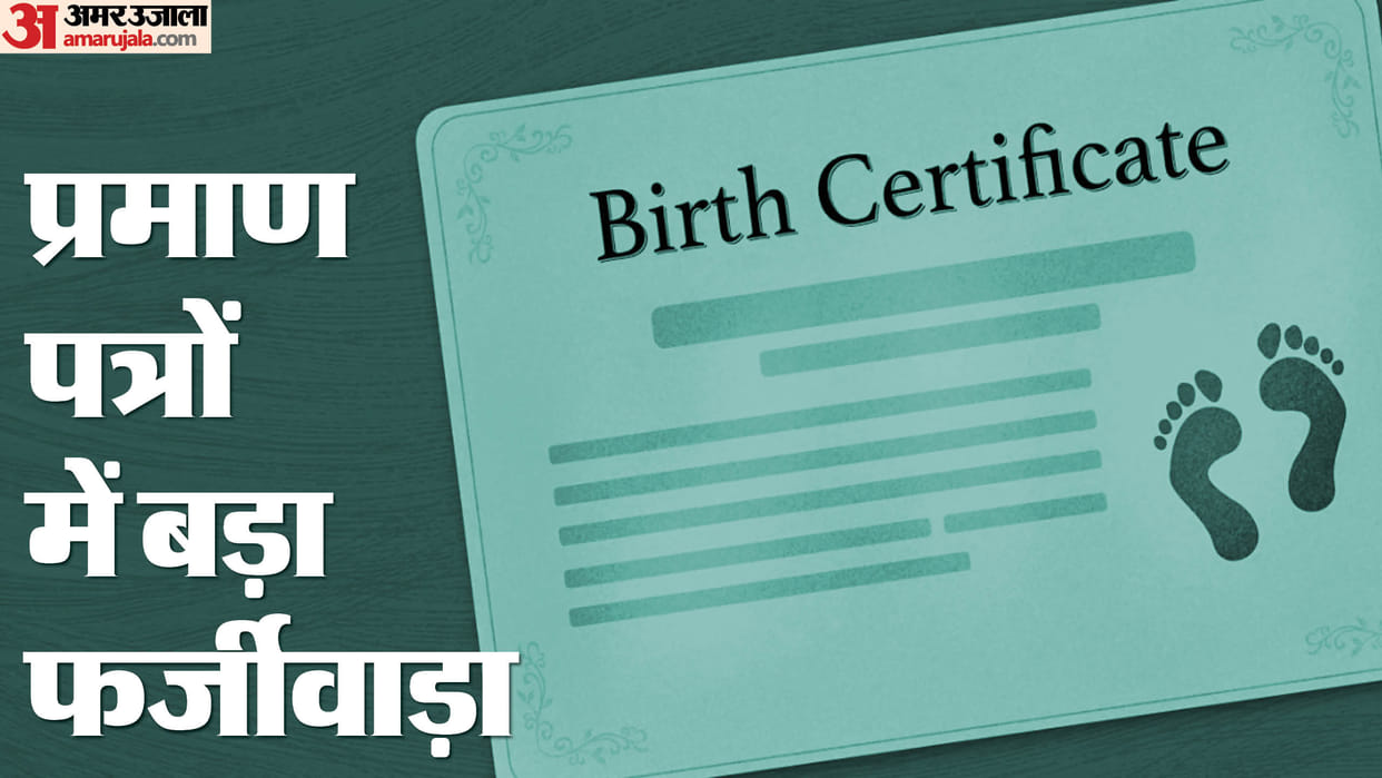 Five member committee will investigate birth certificate fraud