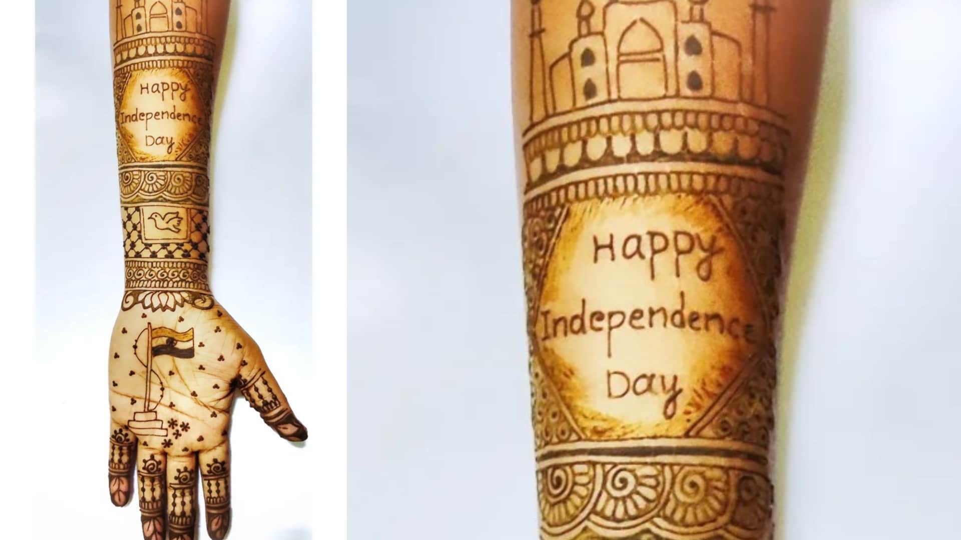 Independence Day Special Mehndi for front and back hand