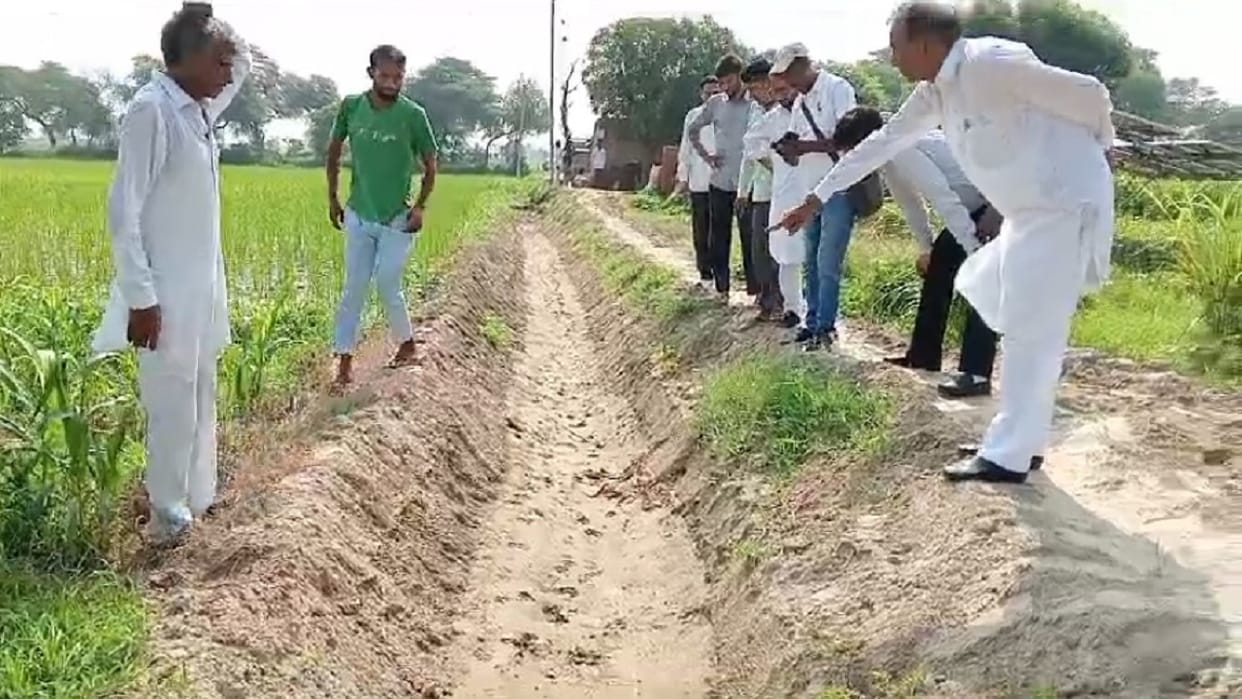 Leopard attacks village Mithanpura in Sirsa, attacks cow and buffalo; people in fear