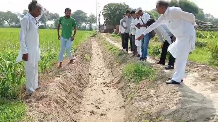 Sirsa: गांव मिठनपुरा में तेंदुए की दस्तक, गाय व भैंस पर किया हमला; लोगों में भय का माहौल