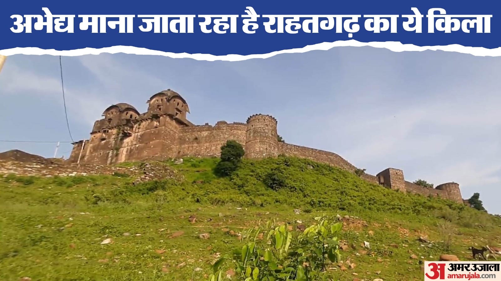 राहतगढ़ का किला