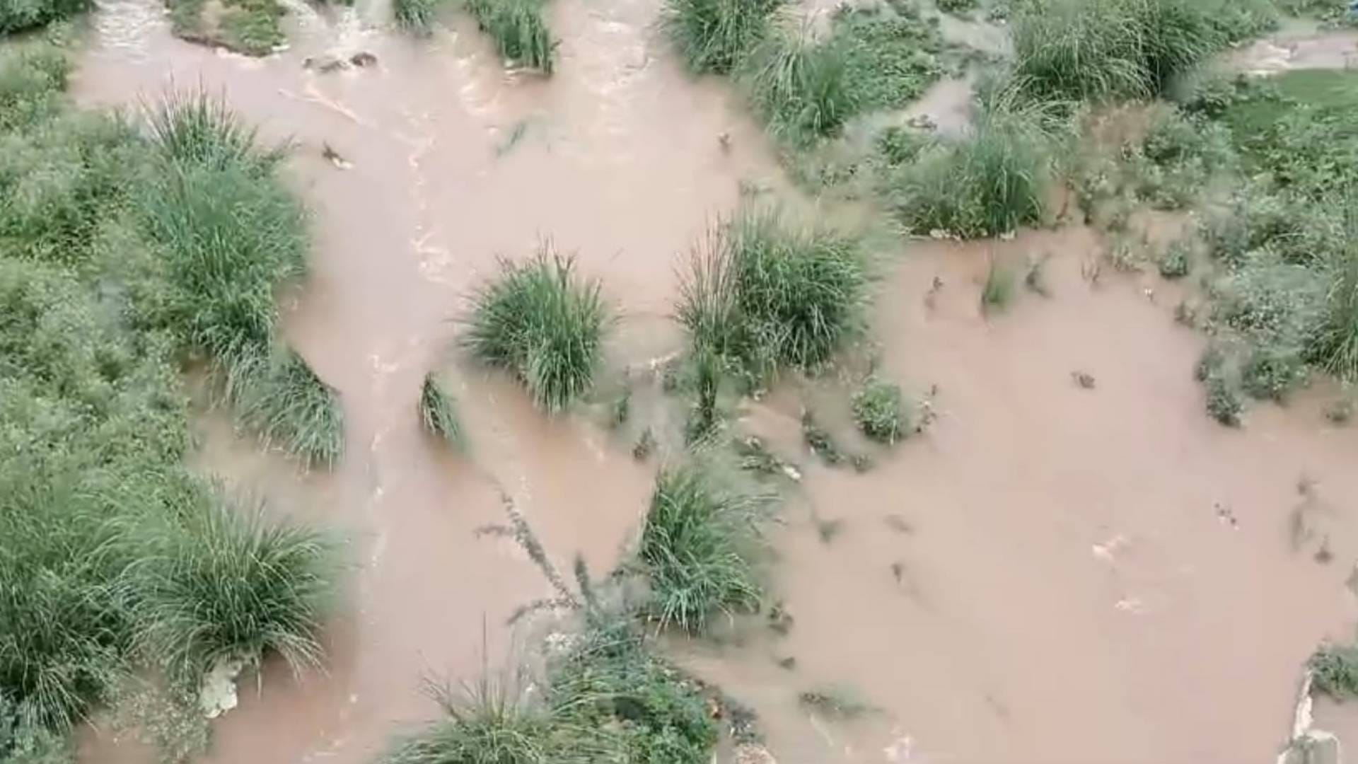 Bharatpur After seven years water of Gambhir river reached Bokoli head