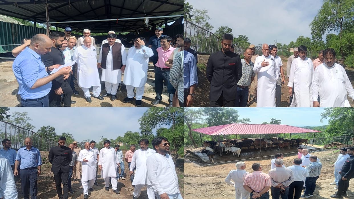 Agriculture Minister Chandra Kumar inspected Gokul Gram and Cow Sanctuary in Thanakhas