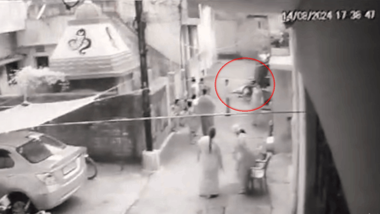 Chhattisgarh News pregnant cow was beaten to death by Youth in Bilaspur news in Hindi