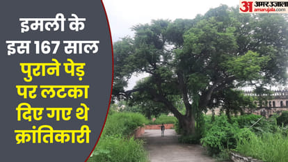 Lucknow: 167 year old tamarind tree is a witness to the freedom struggle, revolutionaries were hanged crudely