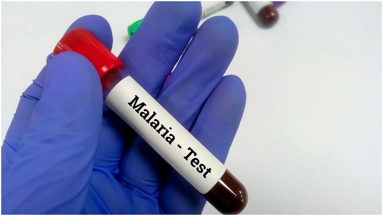 world mosquito day 955 people are affected by malaria in Bareilly