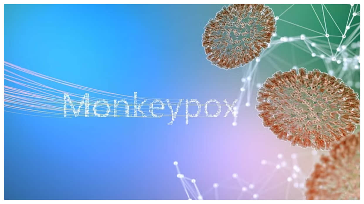 At least 610 people were killed due to monkeypox in Congo know its worldwide risk