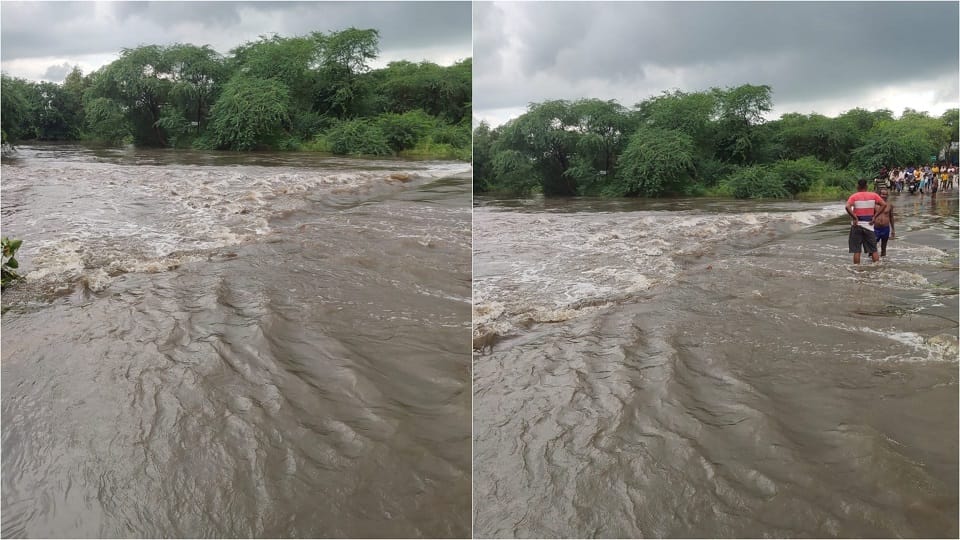 Furious form of rivers: Teenager drowned in Kiwad youth drowned in Parvati river 25 villages lost contact