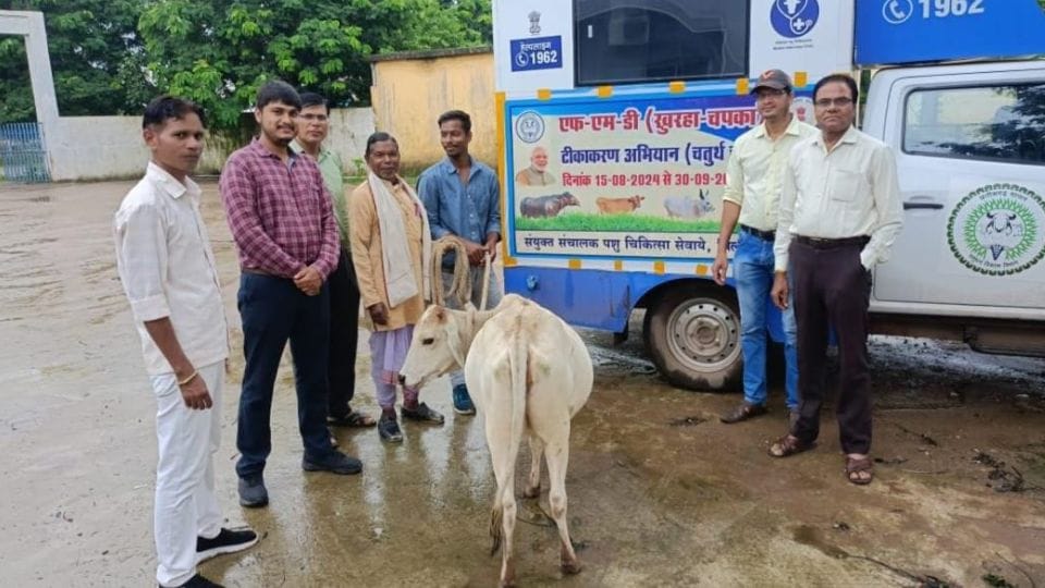 सघन टीकाकरण अभियान