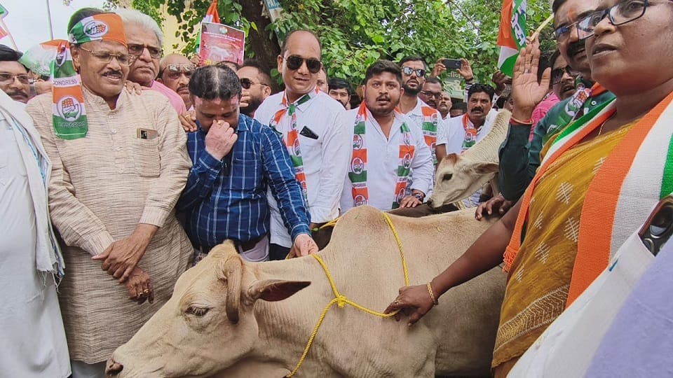 गाय लेकर एसडीएम कार्यालय पहुंचे कांग्रेसी