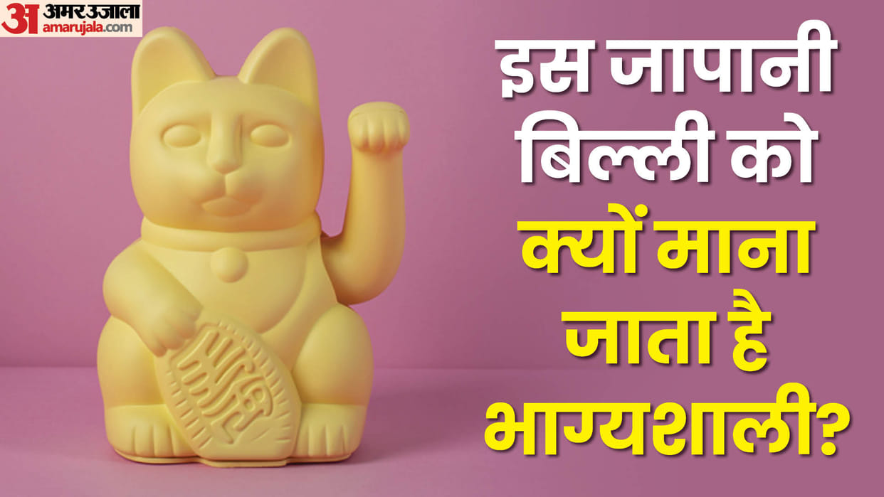 Lucky Cat in Feng Shui Secrets of Maneki Neko know the story