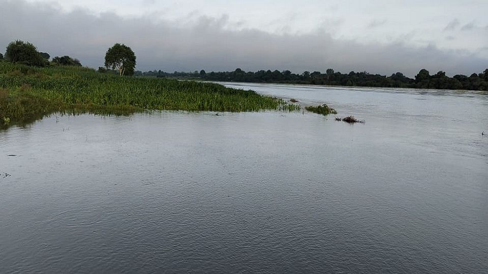 Water level continuously rising in Yamuna crops submerged