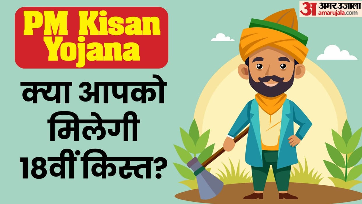 PM Kisan Nidhi: Farmers Check Your Status for 18th Kist