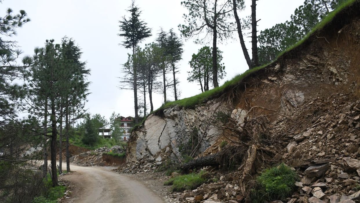 debris at many places on Chamyana Hospital road danger of trees falling due to landslide