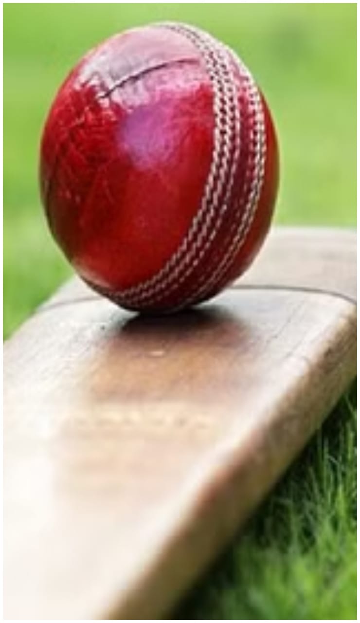 Cricket League will be a rage in the state from 15th, teams will be showered with prizes