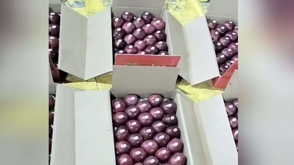 A box of 5 kg apples sold for Rs 1400 in Ahmedabad