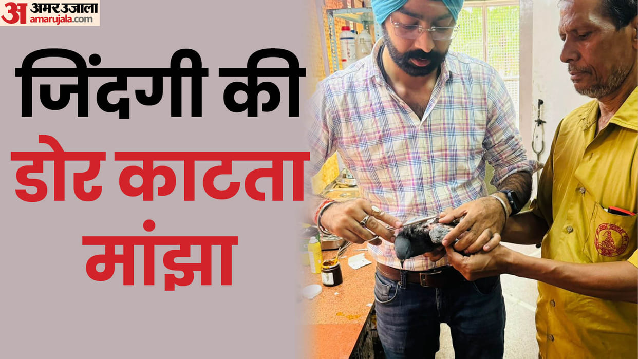 Birds got injured on 15 August due to Chinese Manjha in delhi independence day