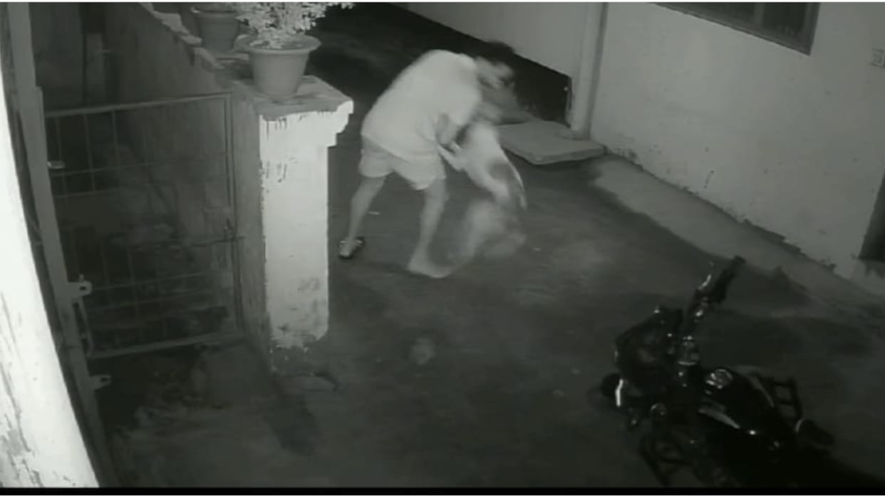 Dog bites more than 12 people in Awas Vikas Colony in Gorakhpur