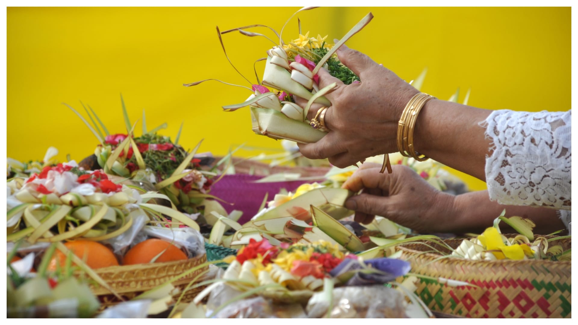 pitru paksha 2024 You can feed cow and dog during pitru paksha if not getting crow