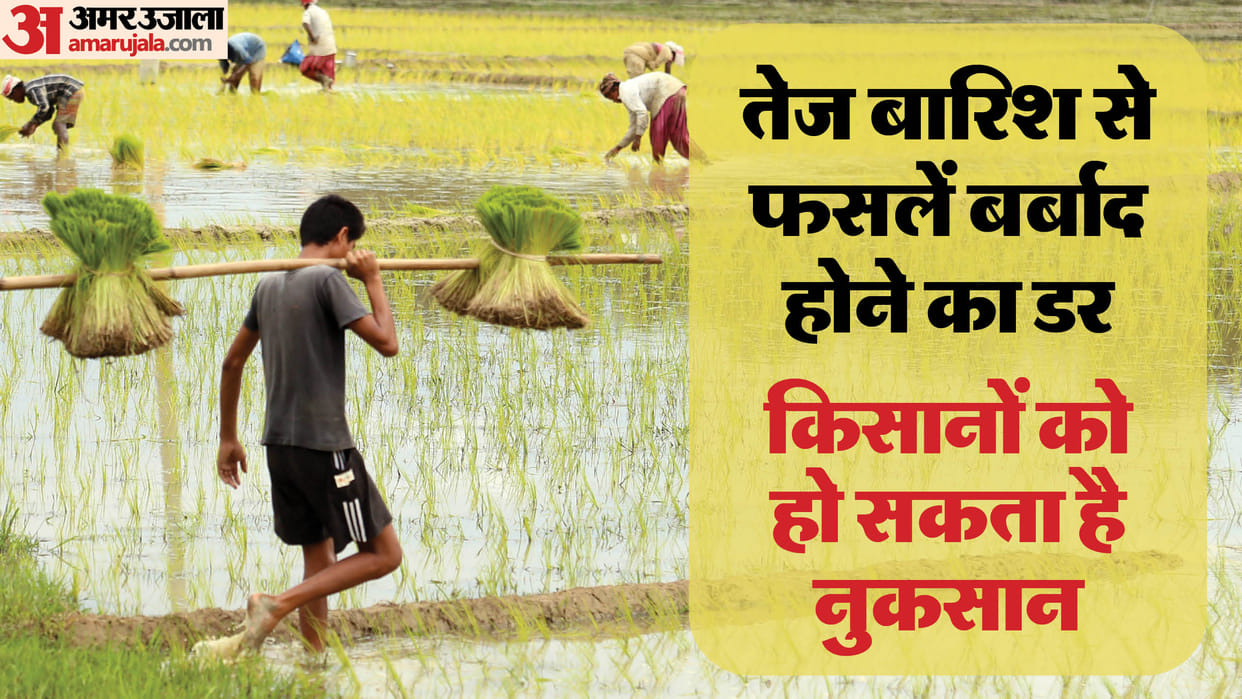 Excessive rain will become a problem, increase the tension of the common man and farmers