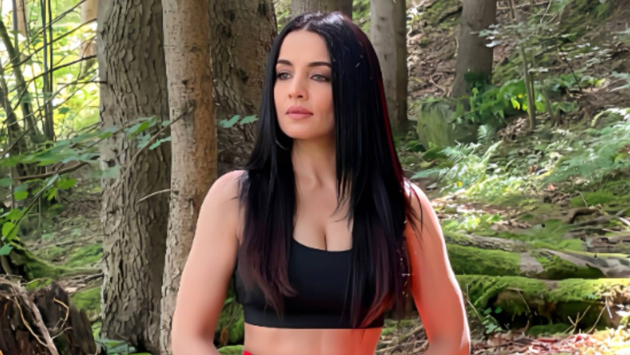 Delhi High Court Issued Notice to the Ministry of External Affairs on a plea moved by Celina Jaitly