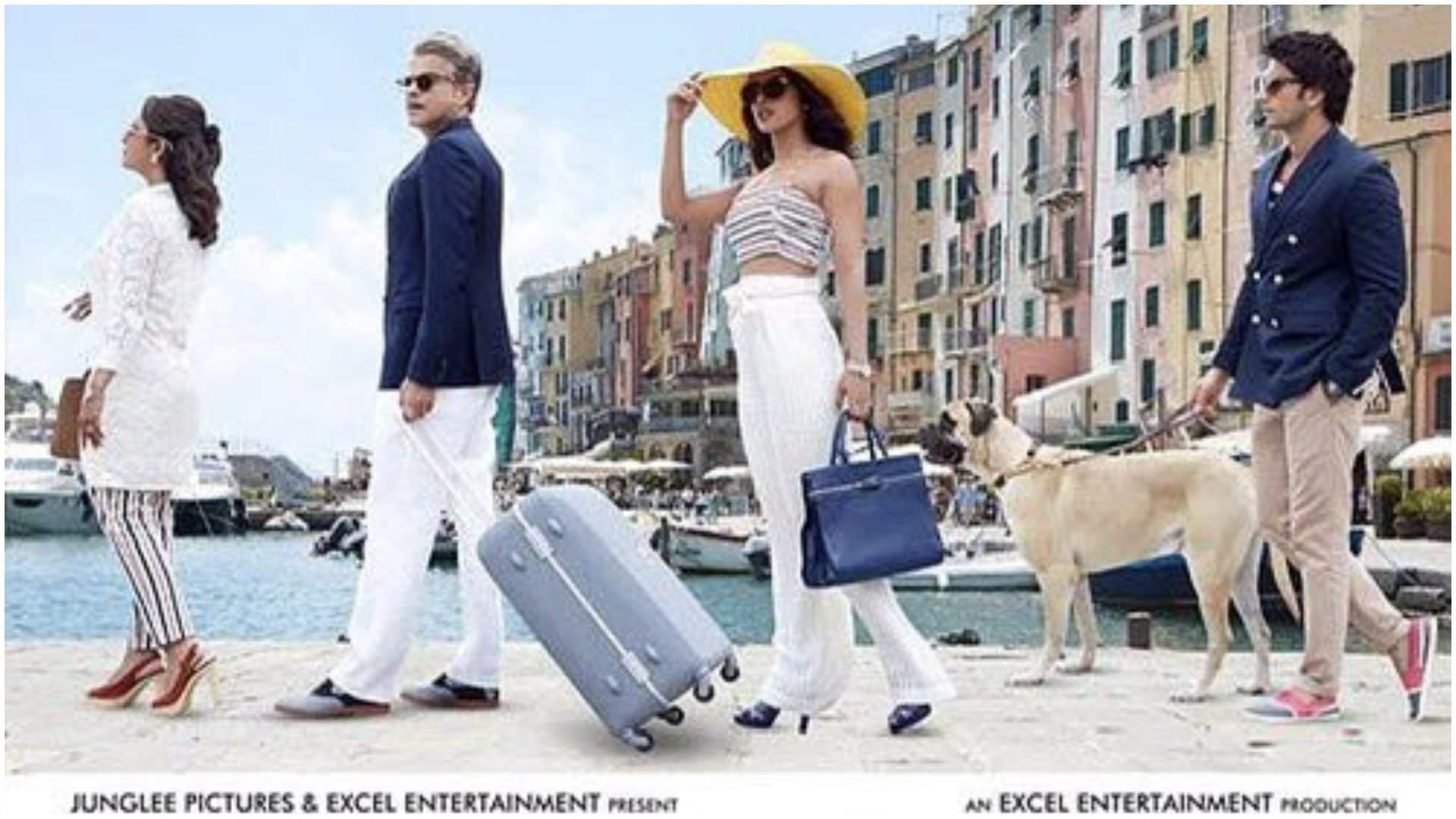 Bollywood Movies based on brother and sister relationship Hum Saath Saath Hain Dil Dhadakne Do Sarabjit