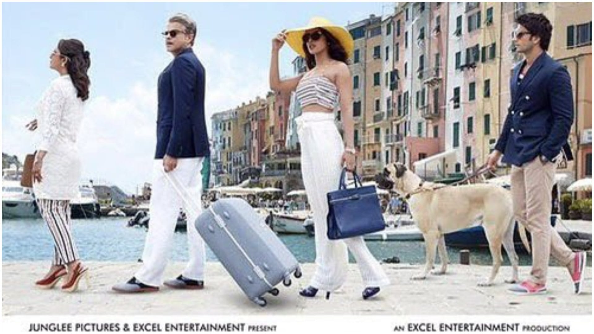 Bollywood Movies based on brother and sister relationship Hum Saath Saath Hain Dil Dhadakne Do Sarabjit