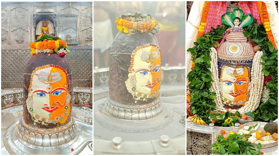 Necklace of Belpatra and Makhana... Mahakaal appeared in the form of Ardhanarishwar in Bhasma Aarti.