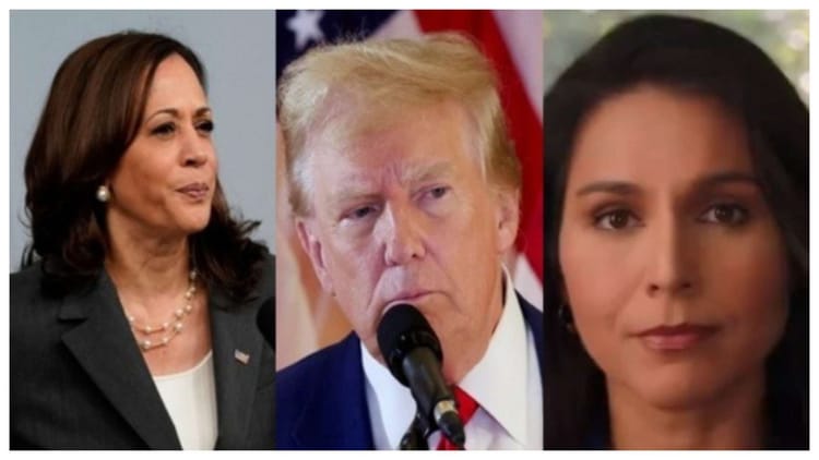 Usa Presidential Debate Tulsi Gabbard Preparing Donald Trump Against Kamala Harris For 10 September Face Off – Amar Ujala Hindi News Live