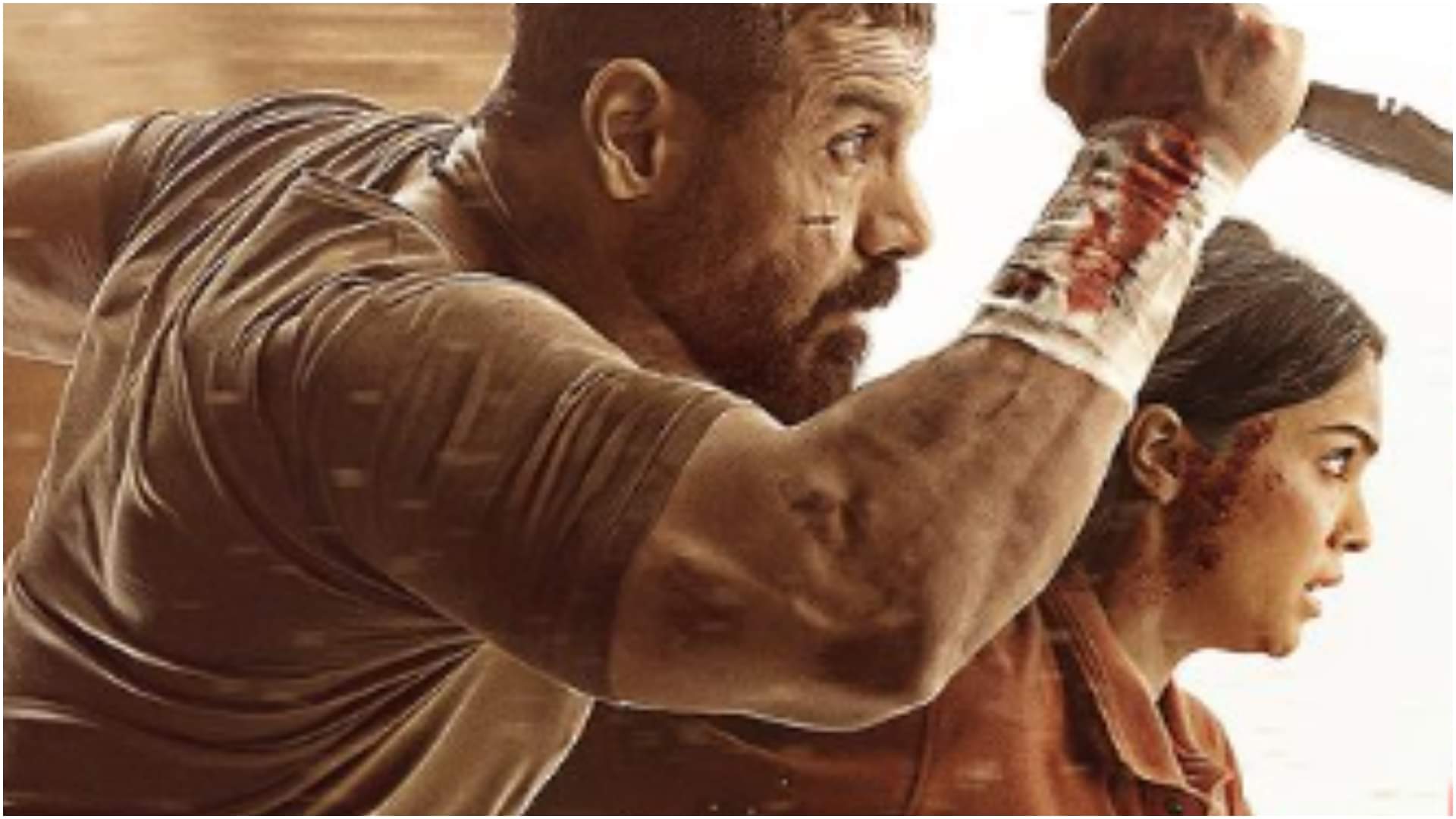 Vedaa Tiger 3 Pathaan Fighter are the recent Indian action films where actress did great action with actor