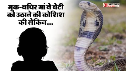 अस्पताल के परिसर में सांप ने बच्ची को काटा