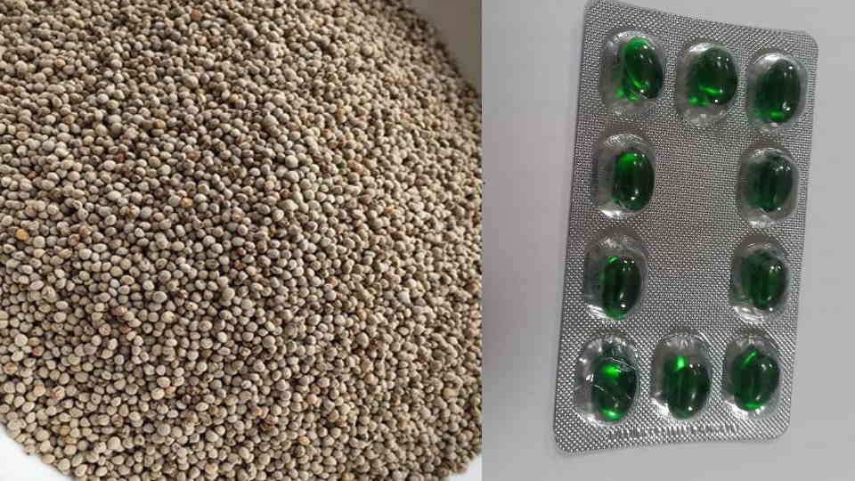 Uttarakhand Exclusive Omega capsules are being made from Bhangjeera seed oil in the state