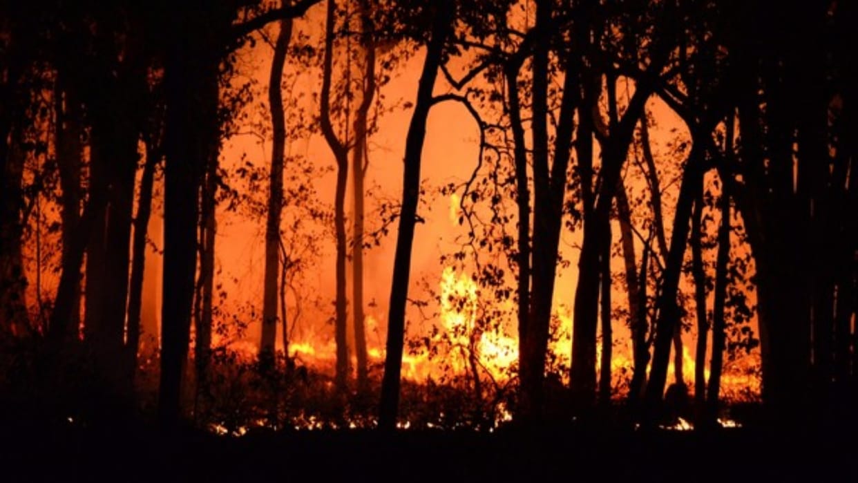 Canada province Manitoba declares state of emergency over wildfires as thousands flee