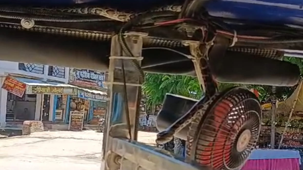 A python snake was hanging on the roof of a tempo in Maharajganj, the passengers were scared.