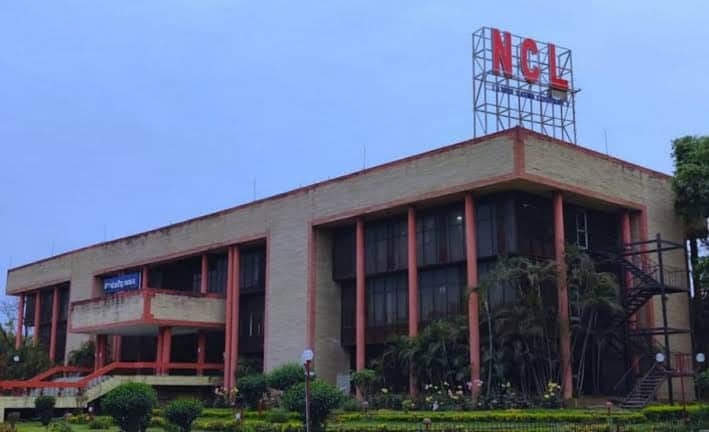 NCL PM Internship 2026: Who Can Apply? Check Qualification and Age Criteria
