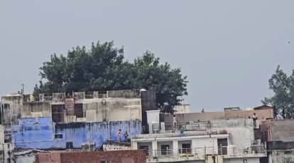 UP: Chinese string kills youth, sparks outrage in area; Lucknow has previously seen kite-flying accidents.