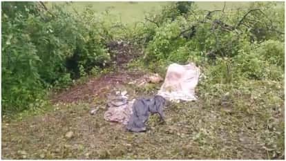 skeleton of 65 year old man found in Sidhi man had left home to work as a laborer