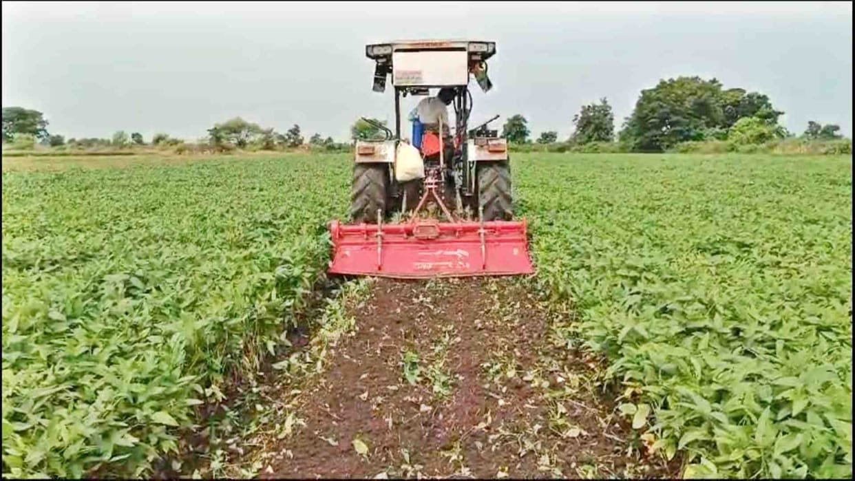 Mandsaur News: Angry farmers destroyed crops by driving tractors due to not getting the right price