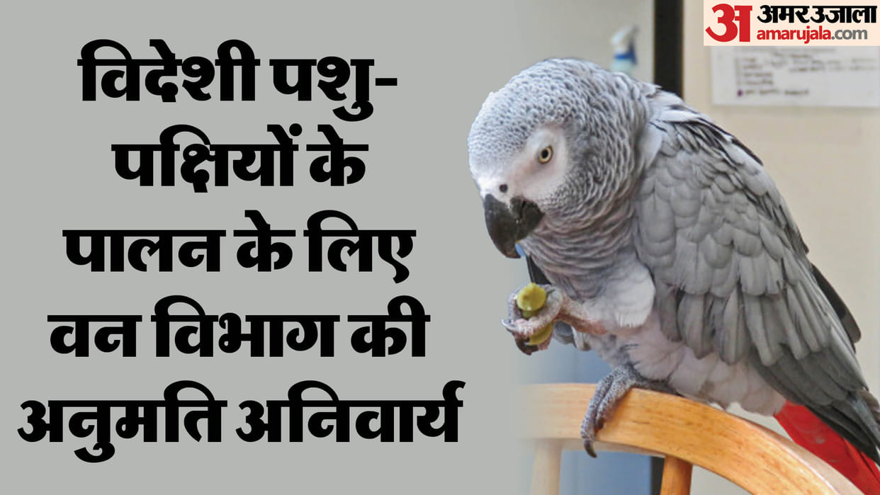 MP News: Forest department's permission is mandatory for rearing foreign animals and birds