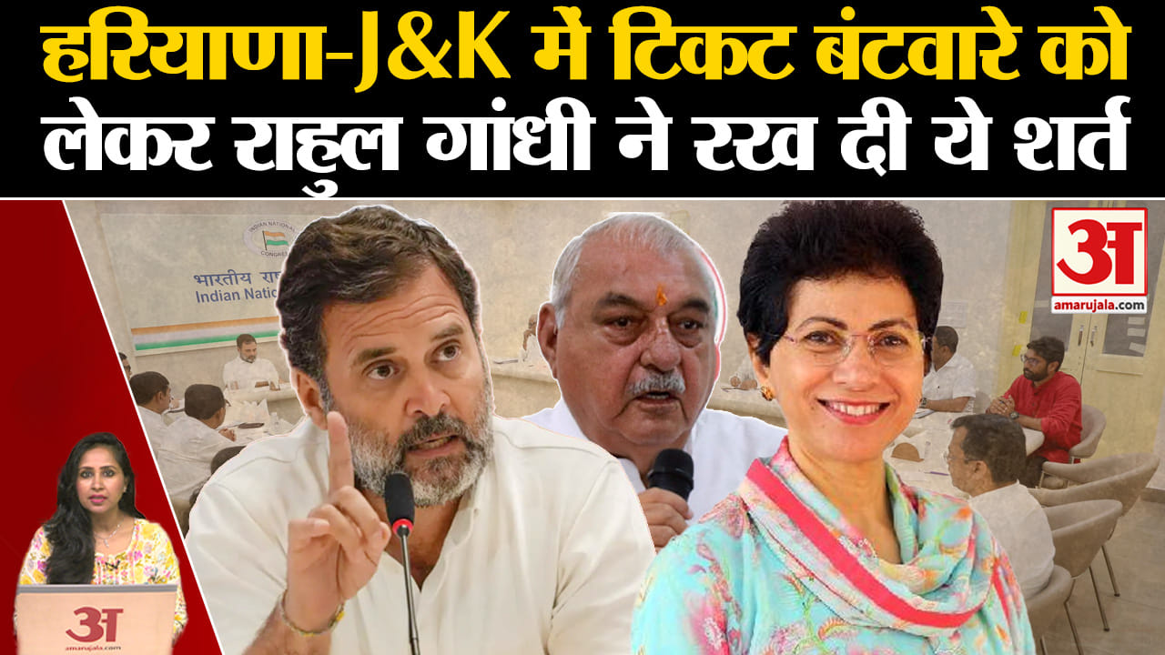 Haryana-J&K Elections: Congress में टिकट बंटवारे पर Rahul Gandhi के सख्त तेवर, रख दी ये शर्त।