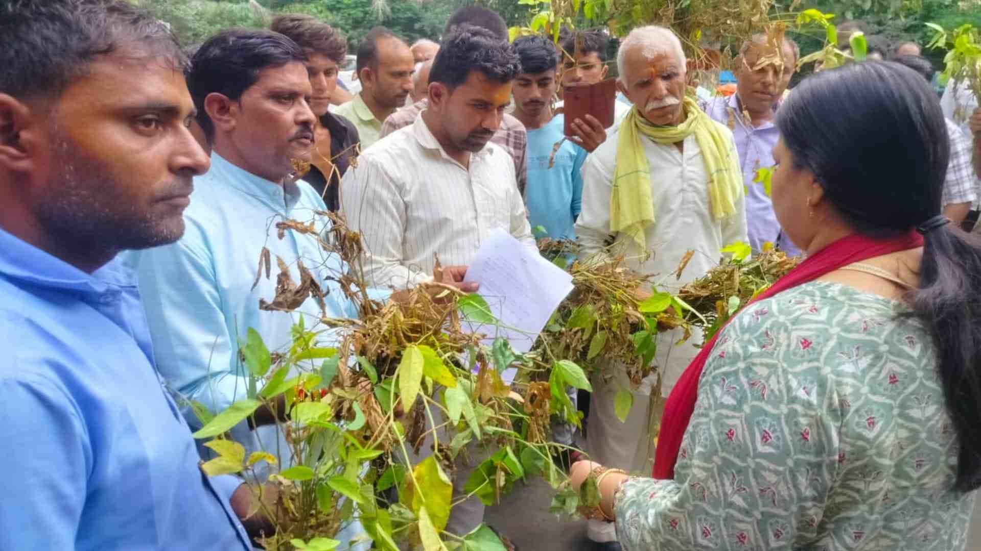 खराब फसल दिखाते किसान।