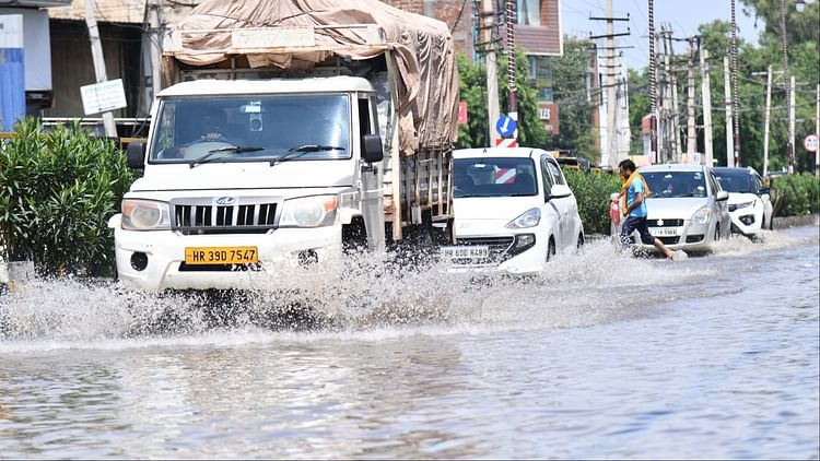 Haryana Weather: मानसून टर्फ रेखा फिर से प्रदेश पर पहुंची, सक्रिय हुआ मानसून, कई जिलों में बारिश