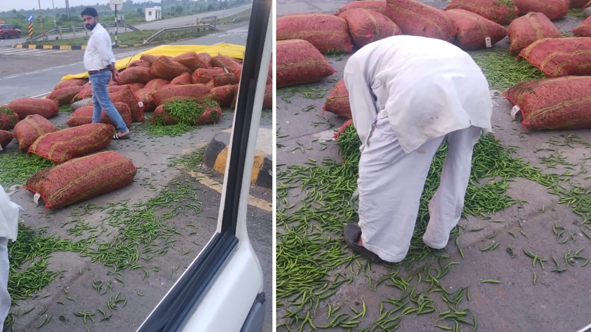 Shajapur: Green chilli scattered on the road due to truck overturning on the National Highway