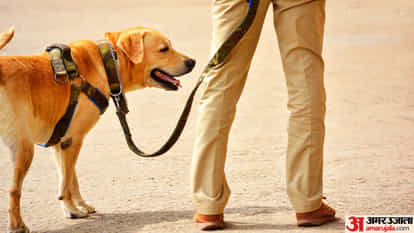 police exhumed body buried as an unclaimed body and sent it for post-mortem In Barabanki