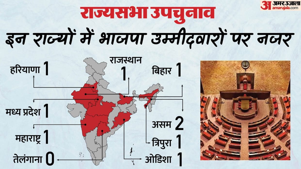 Outsiders had the upper hand in BJP ticket distribution, this move backfired in the Lok Sabha elections