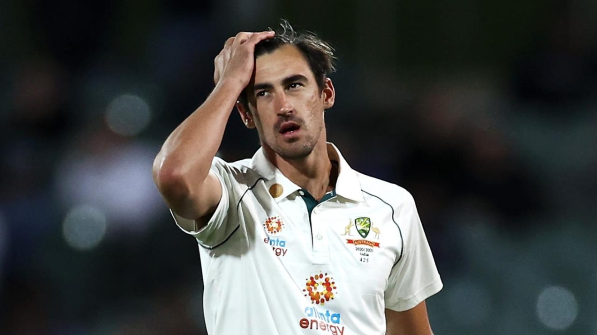 IND vs AUS: 'Border Gavaskar Trophy is as important for Australia as Ashes', says Mitchell Starc
