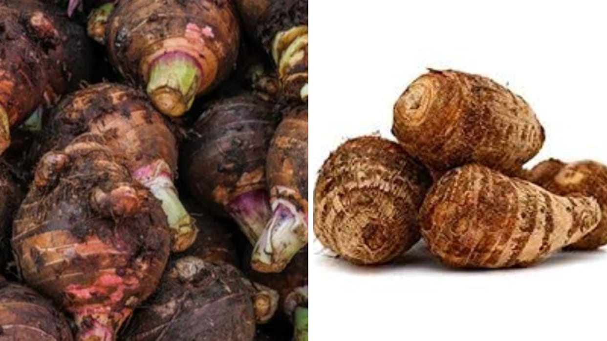 Research reveals Jimikand Kachalu can be effective in fighting diabetes