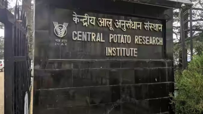 आलू से बनेगा एथेनॉल, सीपीआरआई तैयार करेगा नई किस्में, उत्पादकों की बढ़ेगी आय