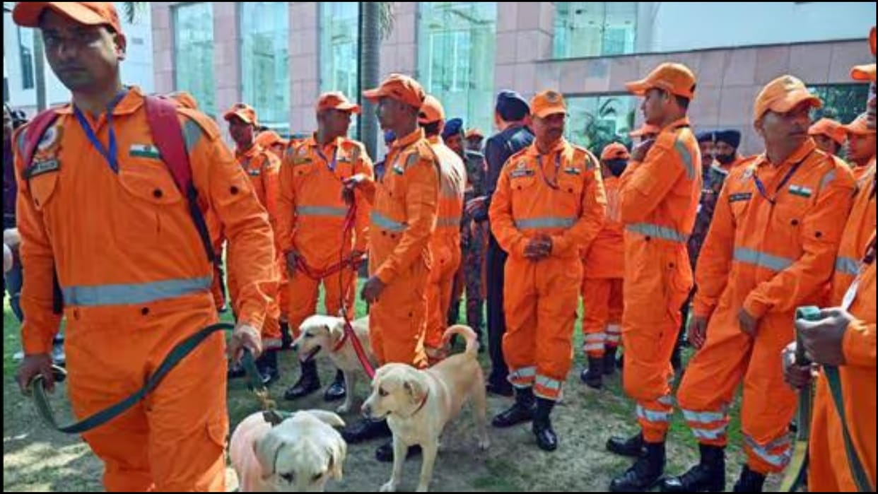 NDRF to commission cadaver dogs for disaster operations News In Hindi